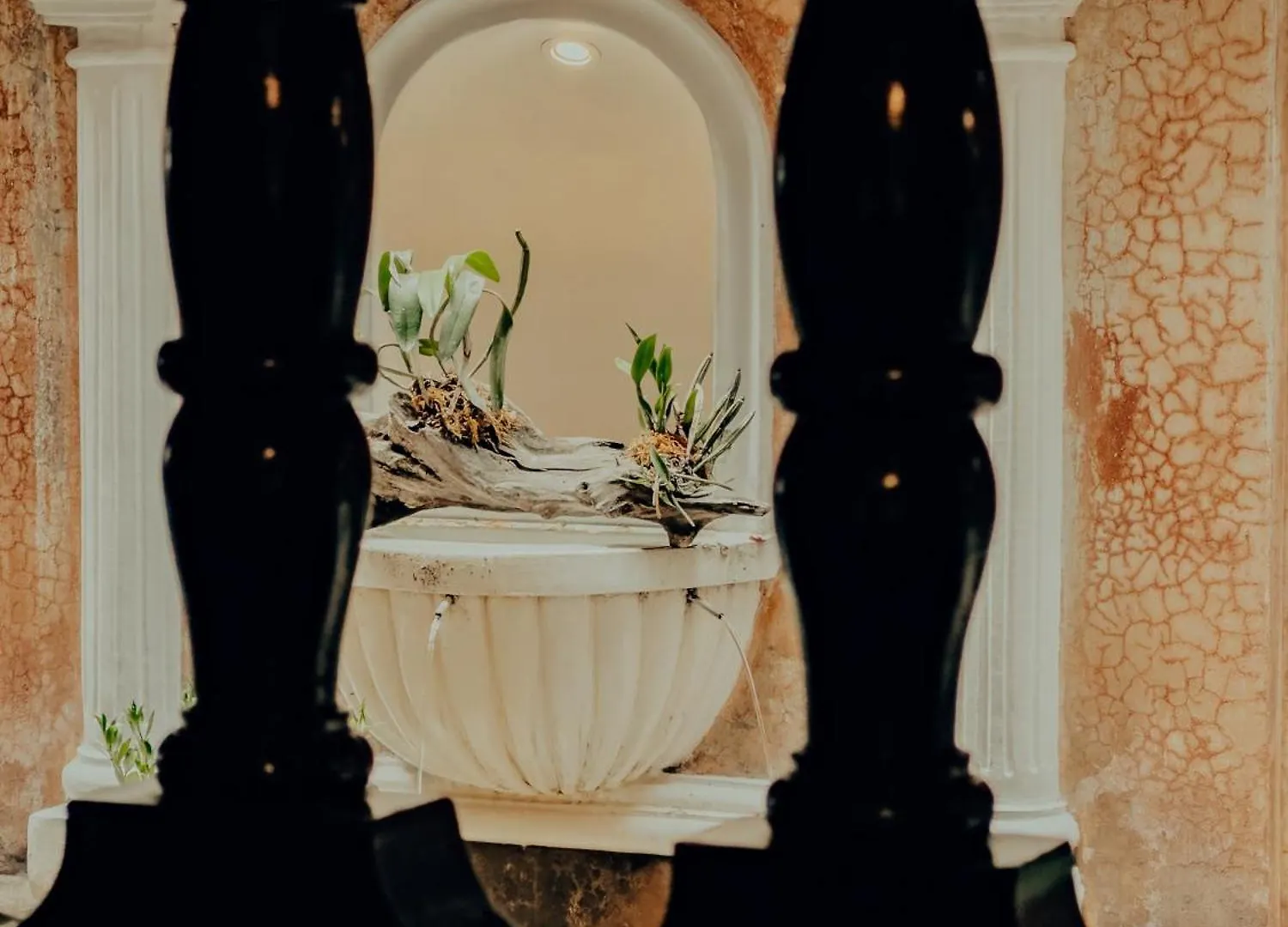 Casa Mia Hotel Antigua